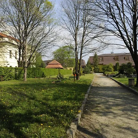 Dávid Velke Bosany