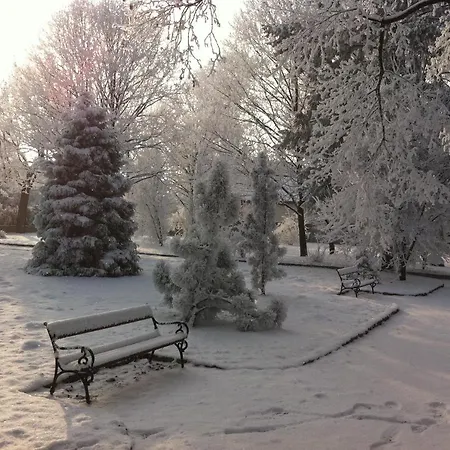 David Ξενοδοχείο 3*