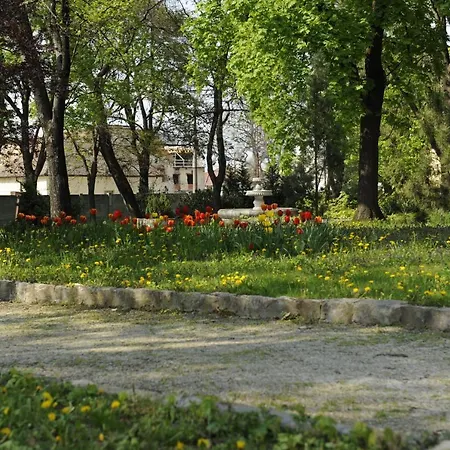 David 3* Velke Bosany