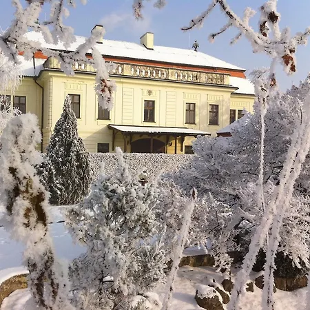 Ξενοδοχείο David Velke Bosany