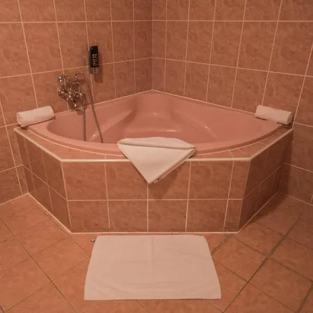 David 3* Velke Bosany