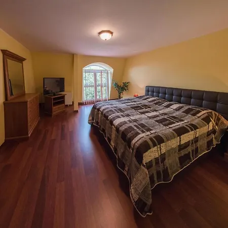 Ξενοδοχείο David Velke Bosany