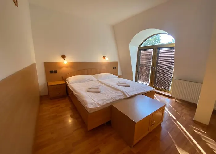 Hotel Dávid Velke Bosany