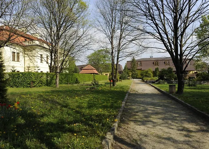 Dávid Velke Bosany
