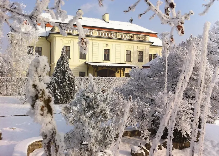 Hotel Dávid Velke Bosany