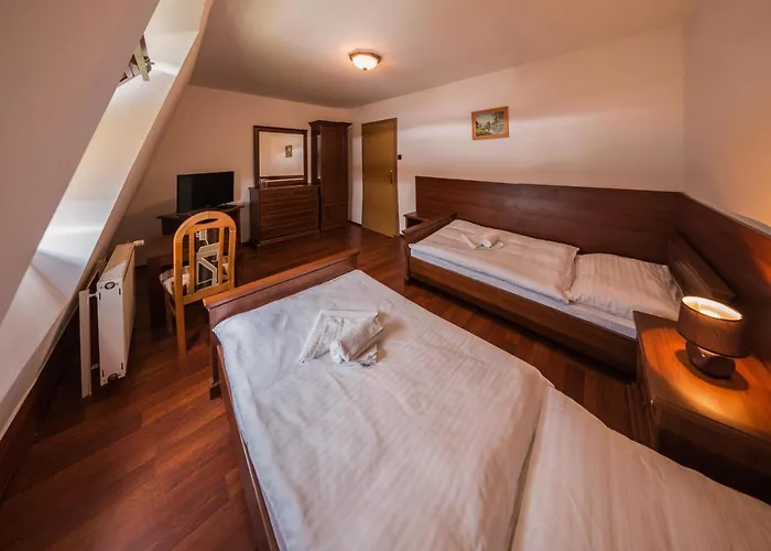 Dávid Hotel 3*